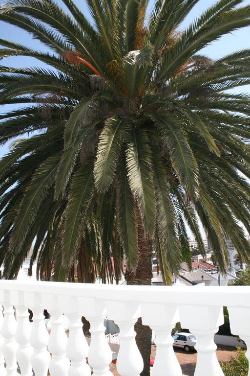 Africanhome Guesthouse Cape Town Dış mekan fotoğraf