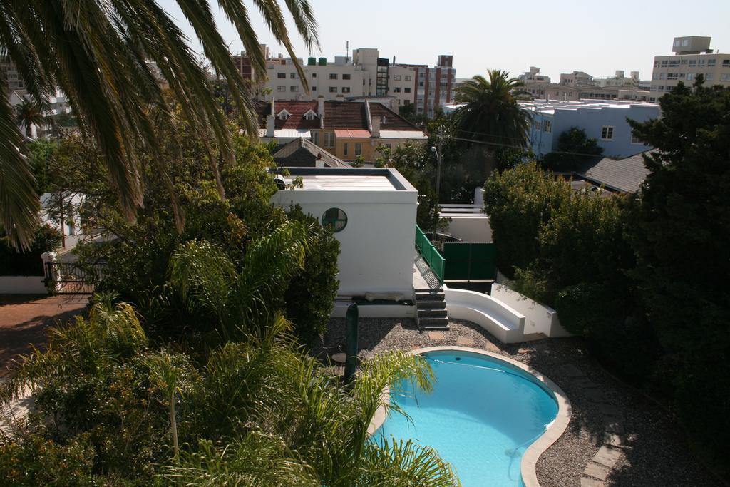 Africanhome Guesthouse Cape Town Dış mekan fotoğraf