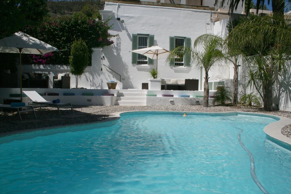 Africanhome Guesthouse Cape Town Dış mekan fotoğraf