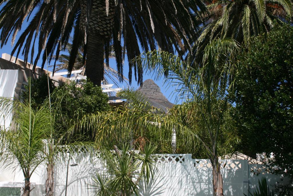 Africanhome Guesthouse Cape Town Dış mekan fotoğraf