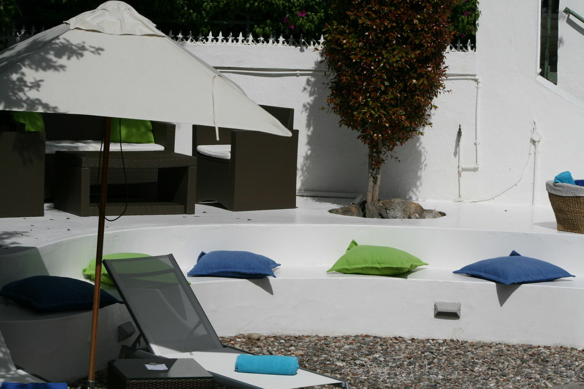 Africanhome Guesthouse Cape Town Dış mekan fotoğraf