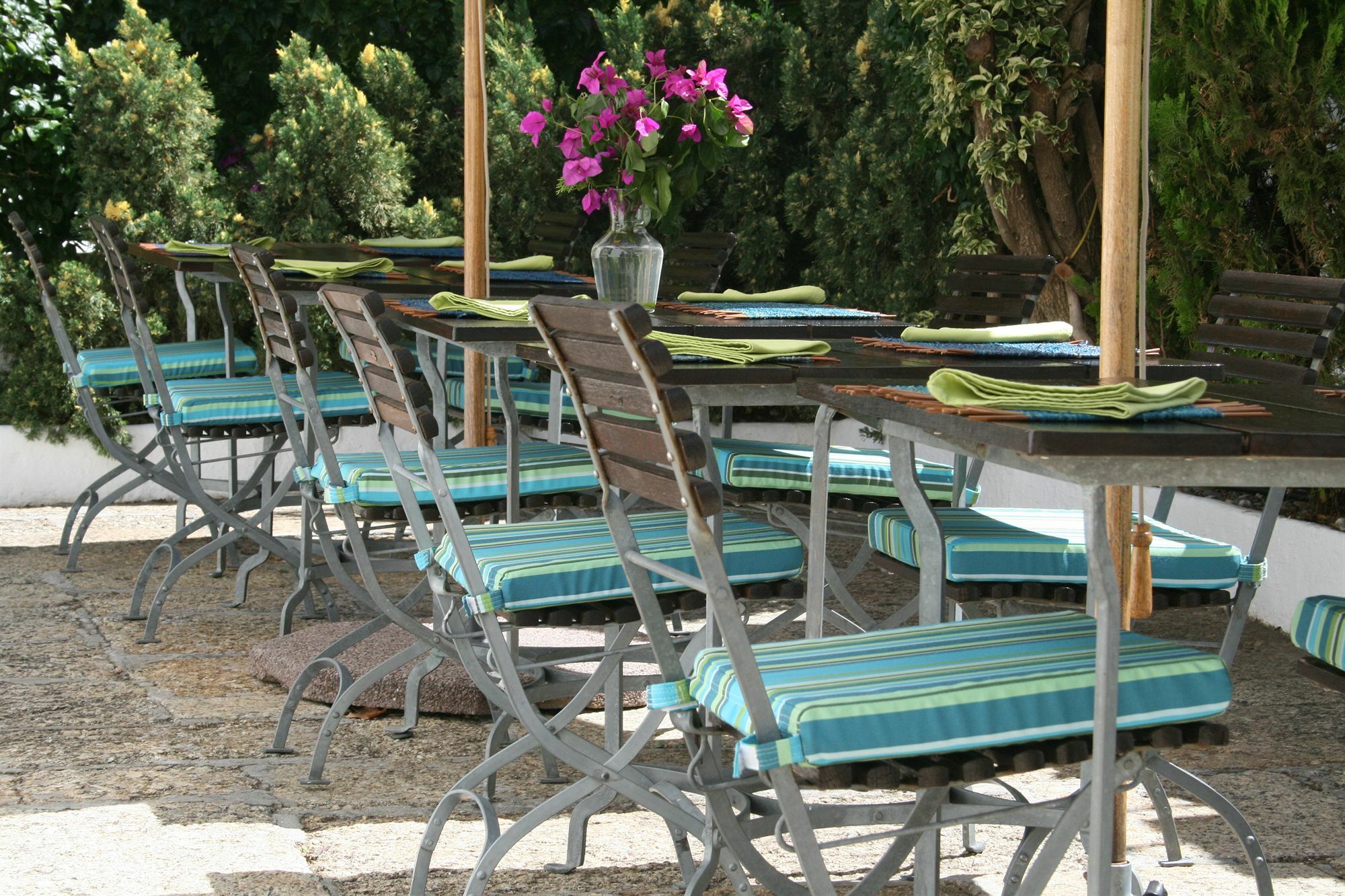 Africanhome Guesthouse Cape Town Dış mekan fotoğraf